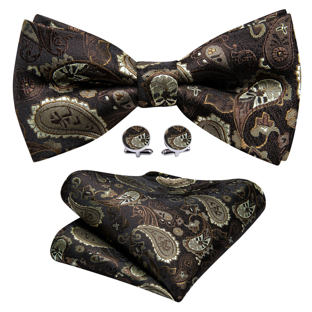 Brown Silver Paisley Bow Tie Set - GentCrest - View 2
