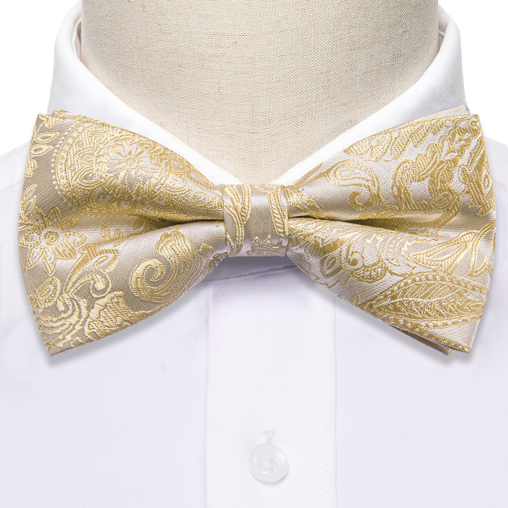 Cream Paisley Bow Tie Set - GentCrest - View 4