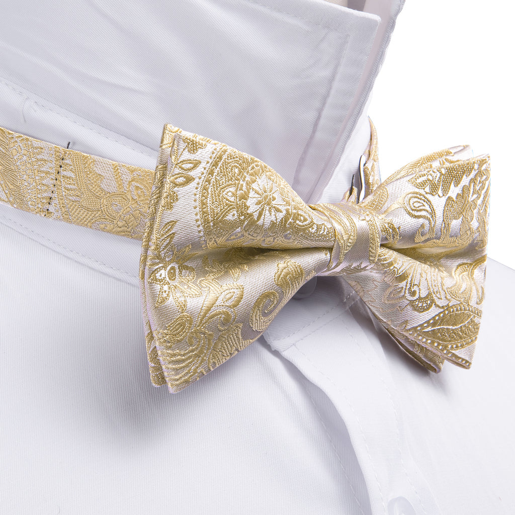 Cream Paisley Bow Tie Set - GentCrest - View 6