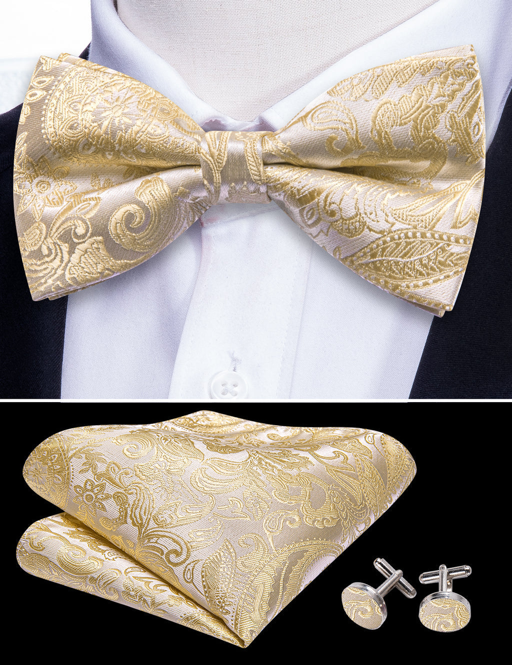 Cream Paisley Bow Tie Set - GentCrest - View 3