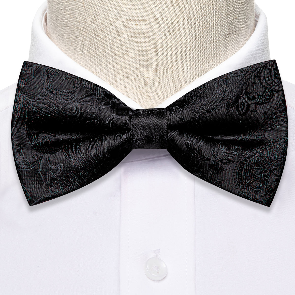 Black Paisley Bow Tie Set - GentCrest - View 4
