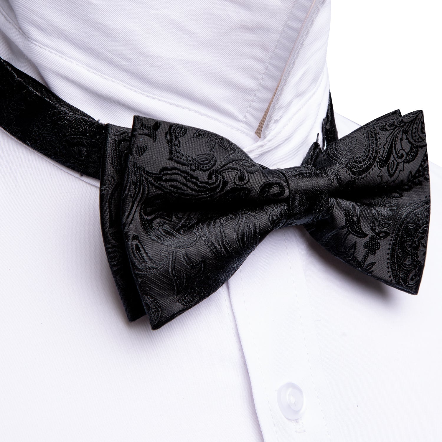 GentCrest Black Paisley Bowtie Set - Image 5