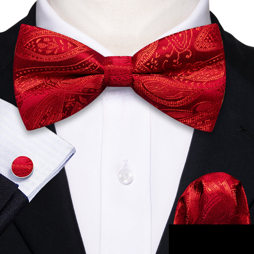 Strong Red Paisley Bow Tie Set - GentCrest - View 2