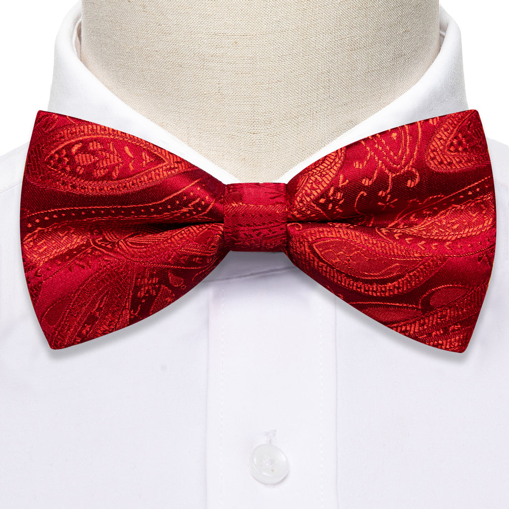 Strong Red Paisley Bow Tie Set - GentCrest - View 3