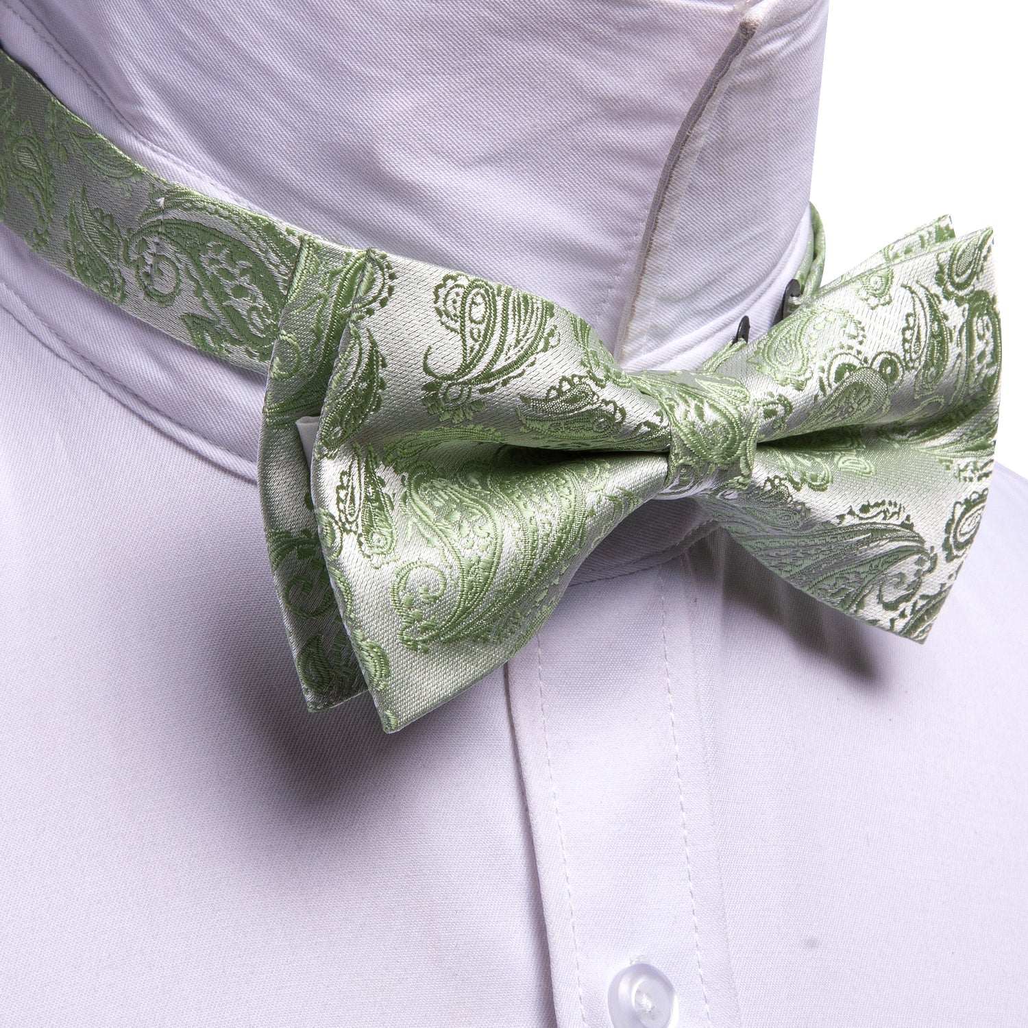 GentCrest Green Paisley Bowtie Set - Image 4