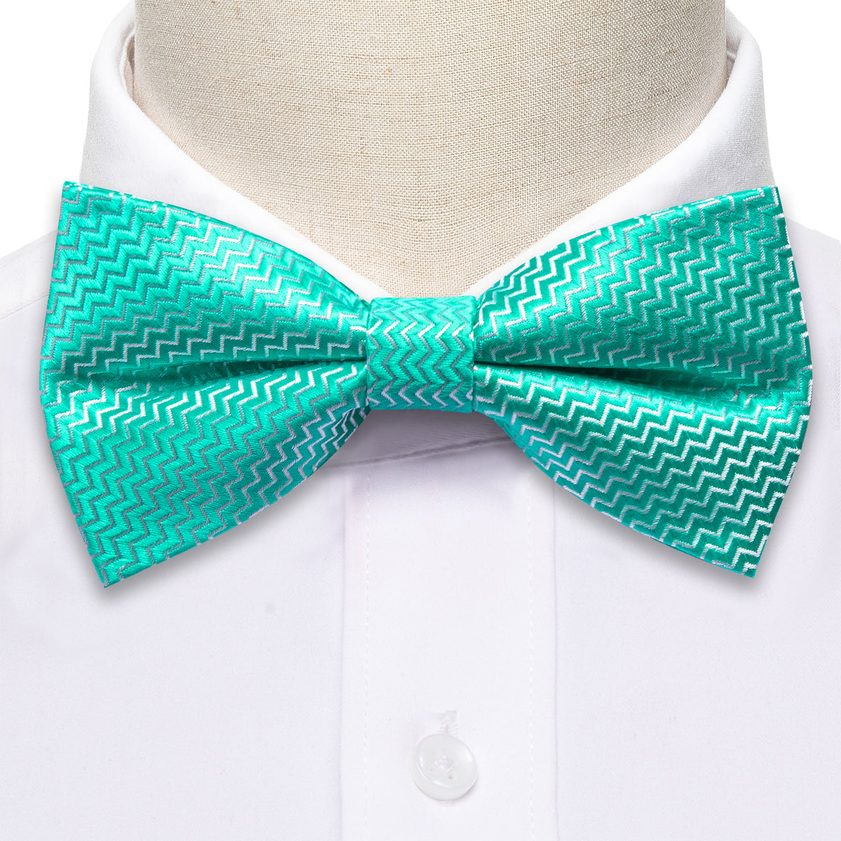 Teal Green Aqua Curve Bow Tie Set - GentCrest - View 5