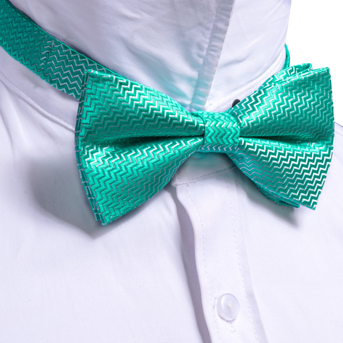 Teal Green Aqua Curve Bow Tie Set - GentCrest - View 4