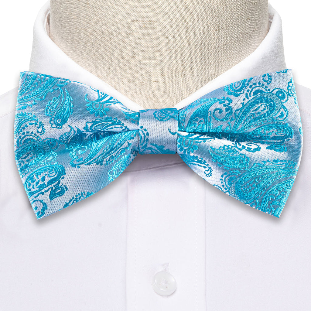 Pale Blue Silver Paisley Bow Tie Set - GentCrest - View 5