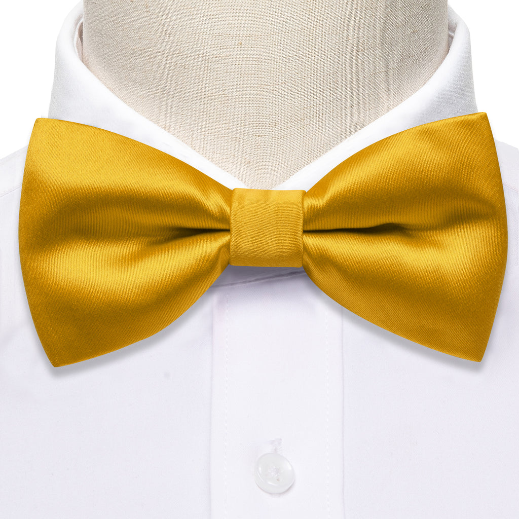 Stopped production _Golden Solid Bow Tie Set - GentCrest - View 4