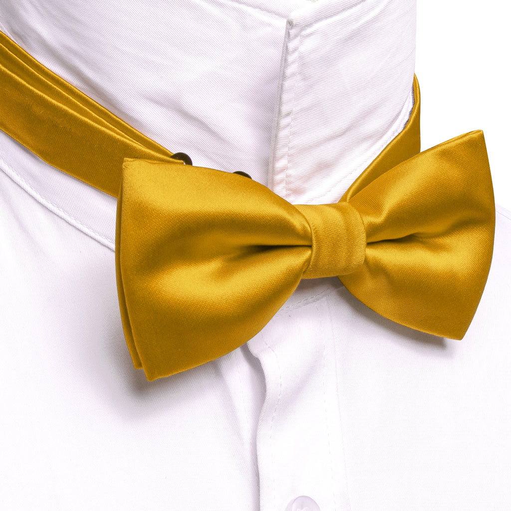 Stopped production _Golden Solid Bow Tie Set - GentCrest - View 2