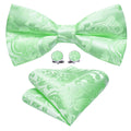 Turquoise Green Paisley Bow Tie Set - GentCrest