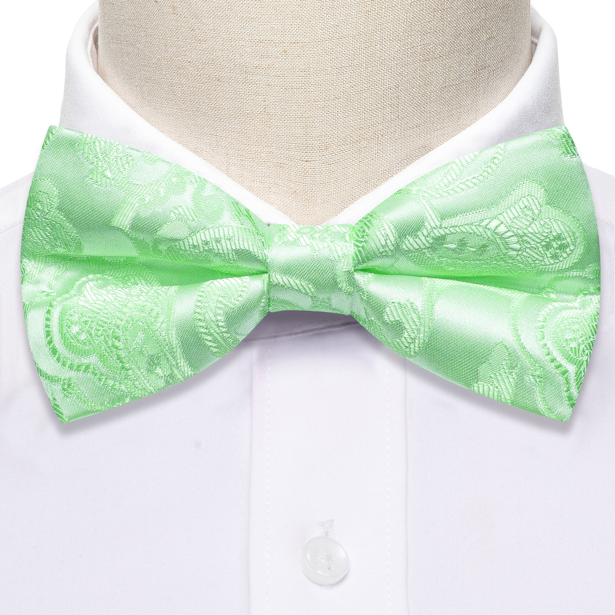Turquoise Green Paisley Bow Tie Set - GentCrest - View 6