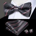 GentCrest Grey Striped Bowtie Set - Image 1