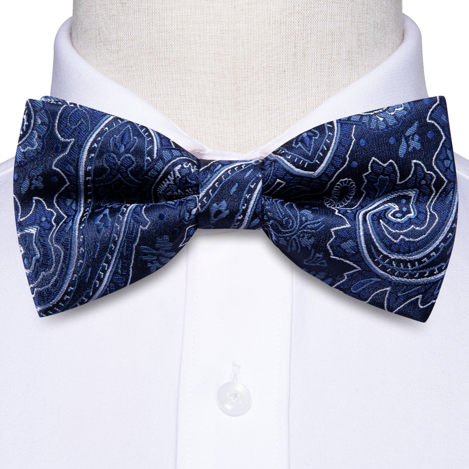 GentCrest Blue Paisley Bowtie Set - Image 5