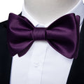GentCrest Purple Solid Bowtie Set - Image 1