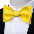 GentCrest Yellow Solid Bowtie Set - Image 1