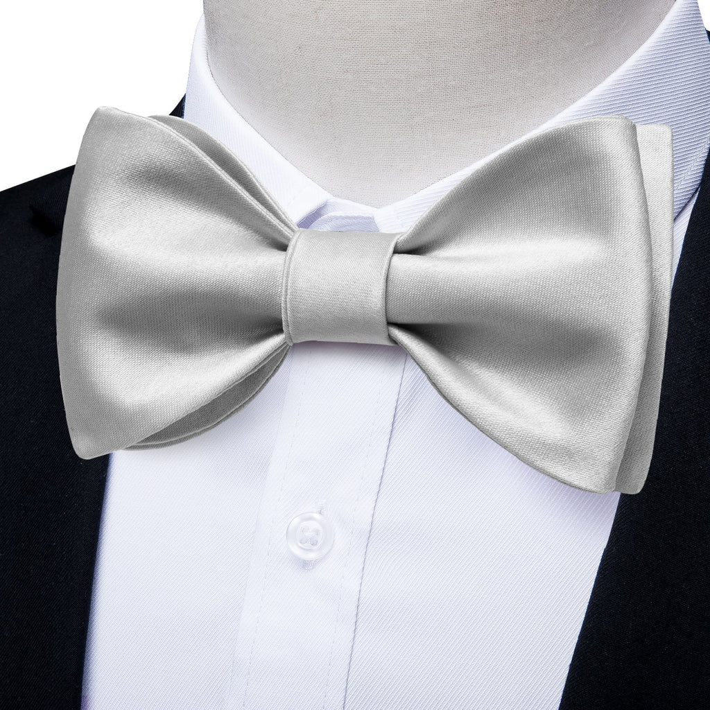 GentCrest Grey Solid Bowtie Set - Image 1