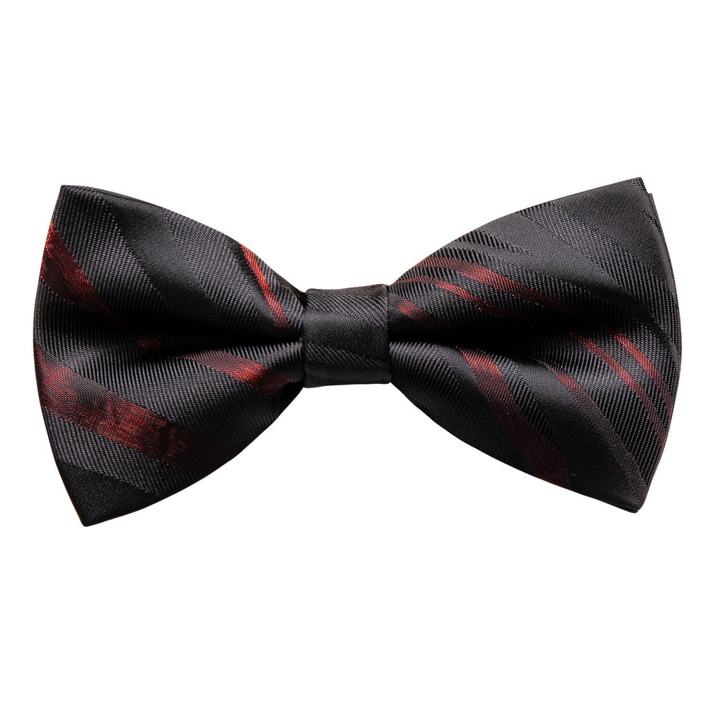 GentCrest Black Striped Bowtie Set - Image 5