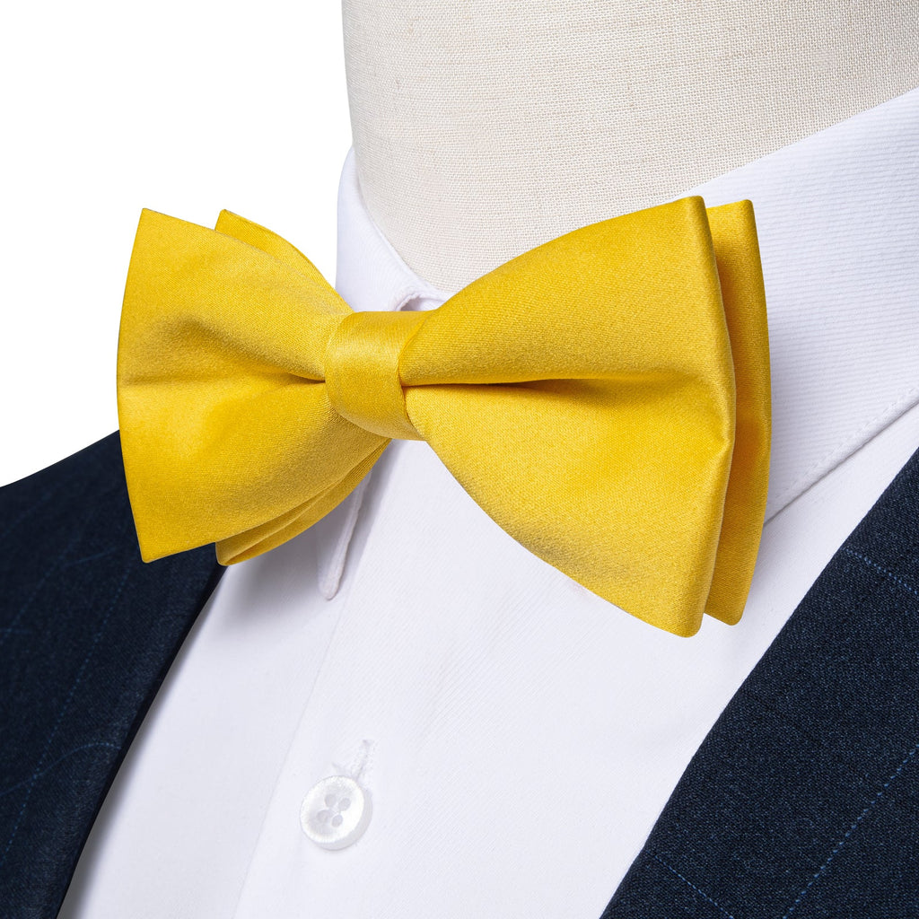 GentCrest Yellow Solid Bowtie Set - Image 3