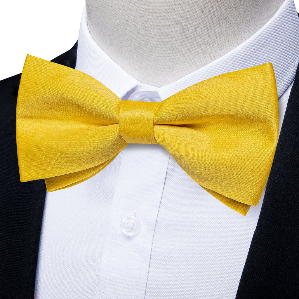 GentCrest Yellow Solid Bowtie Set - Image 5