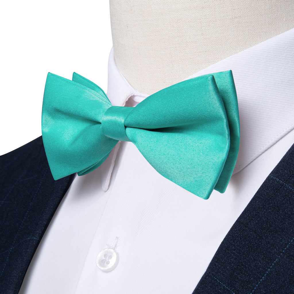 GentCrest Blue Solid Bowtie Set - Image 4