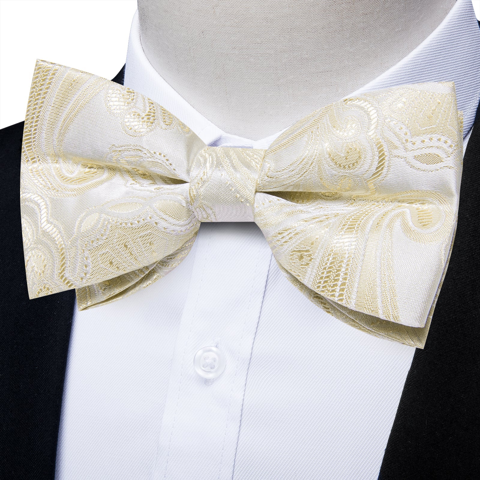 GentCrest Beige Paisley Bowtie Set - Image 1
