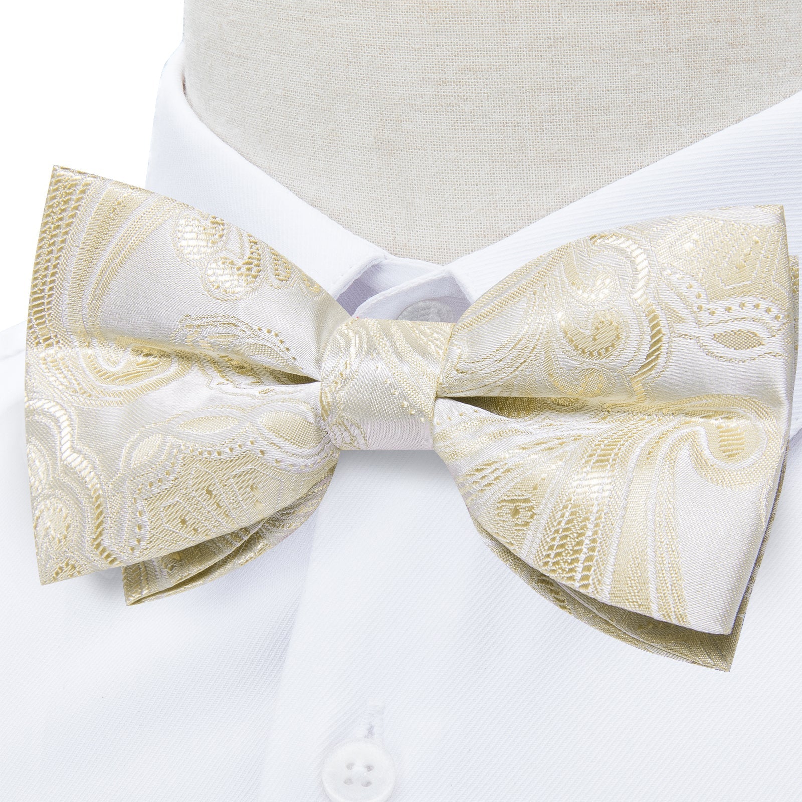 GentCrest Beige Paisley Bowtie Set - Image 2