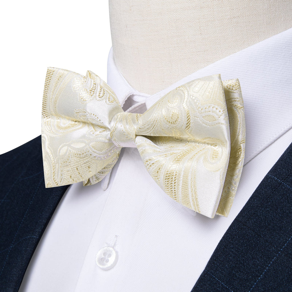 GentCrest Beige Paisley Bowtie Set - Image 3