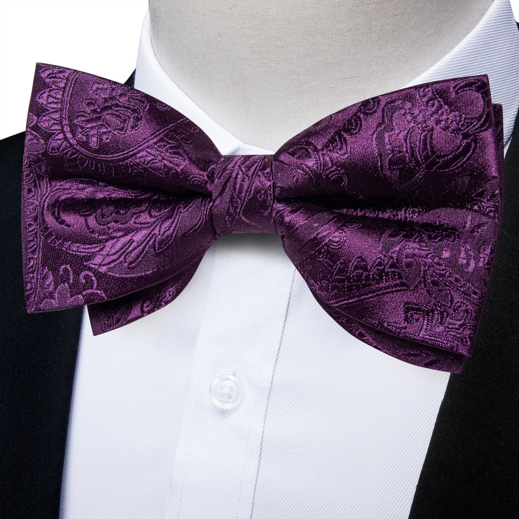 GentCrest Purple Paisley Bowtie Set - Image 2