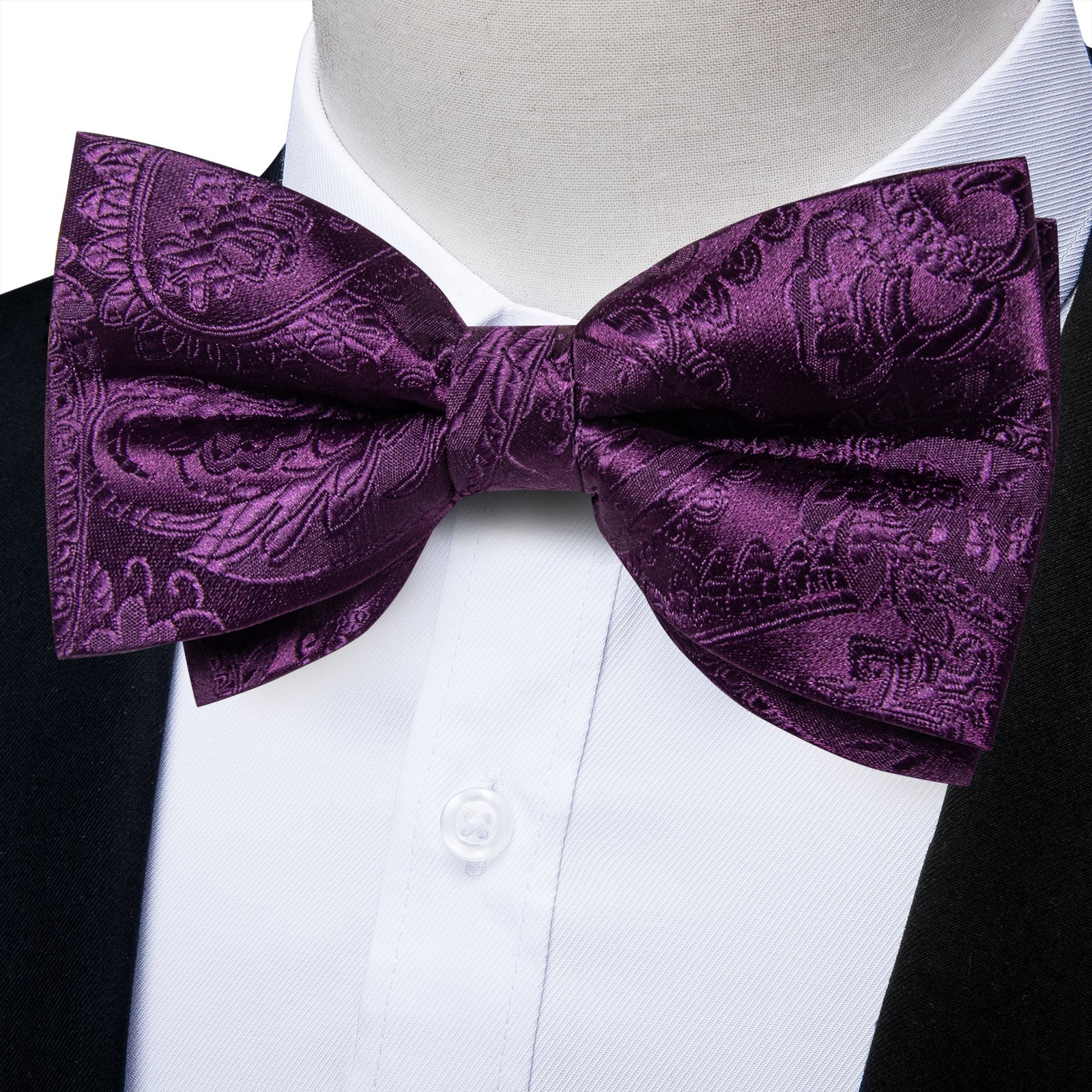 GentCrest Purple Paisley Bowtie Set - Image 2