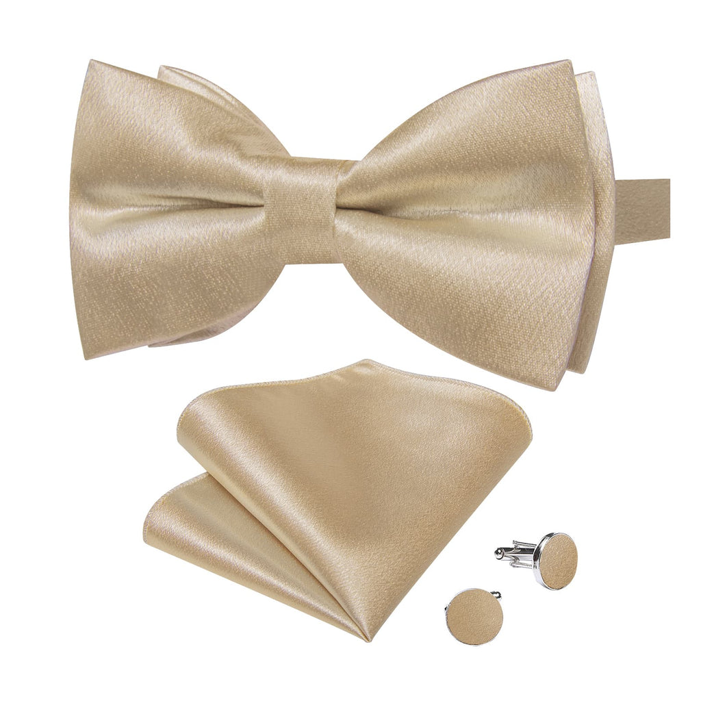 GentCrest Champagne Solid Bowtie Set - Image 4