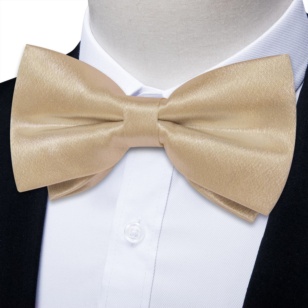 GentCrest Champagne Solid Bowtie Set - Image 1