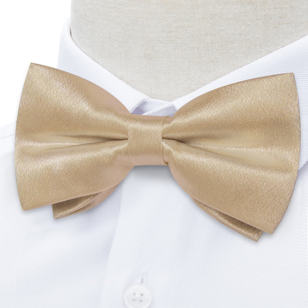 GentCrest Champagne Solid Bowtie Set - Image 3
