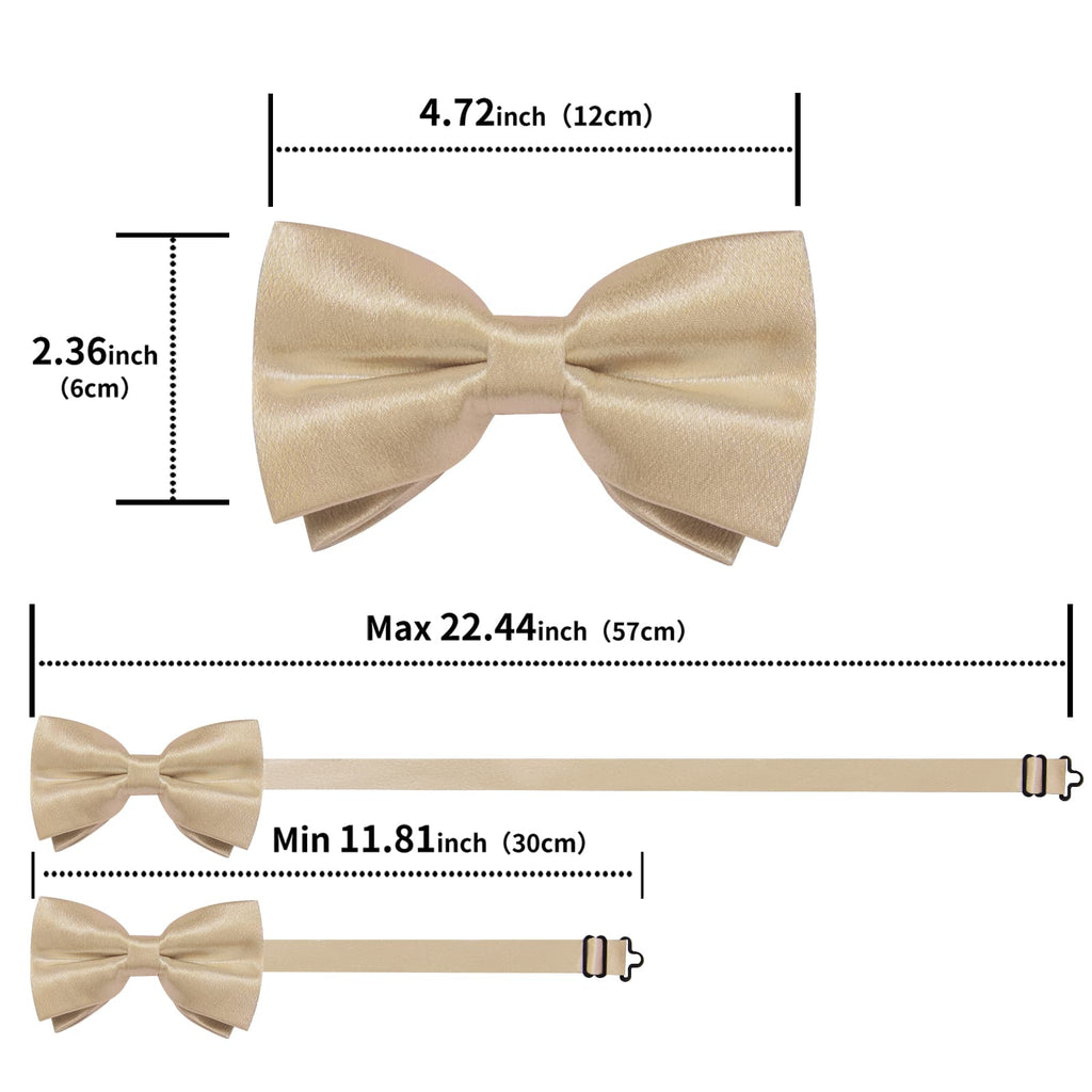 GentCrest Champagne Solid Bowtie Set - Image 5