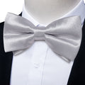 GentCrest Grey Solid Bowtie Set - Image 1