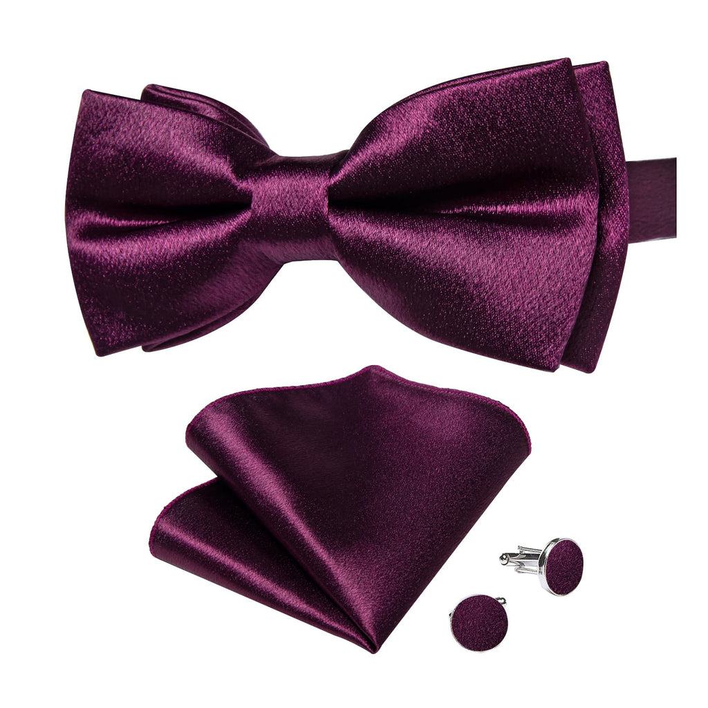 GentCrest Purple Solid Bowtie Set - Image 4