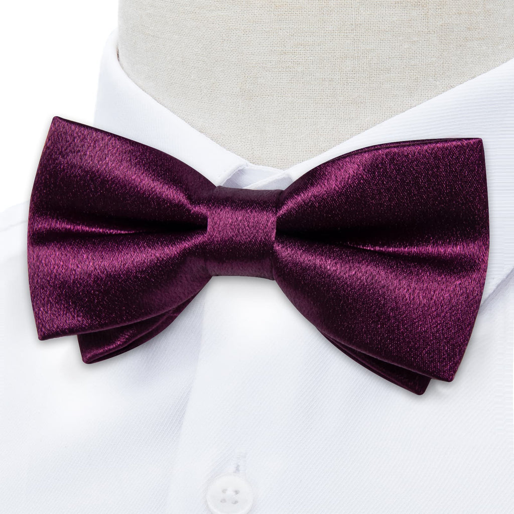GentCrest Purple Solid Bowtie Set - Image 3