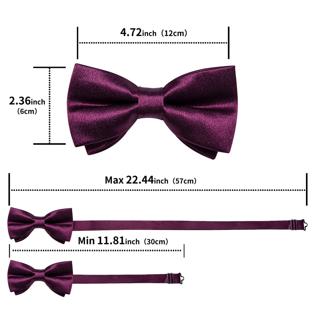GentCrest Purple Solid Bowtie Set - Image 5