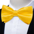 GentCrest Yellow Solid Bowtie Set - Image 1
