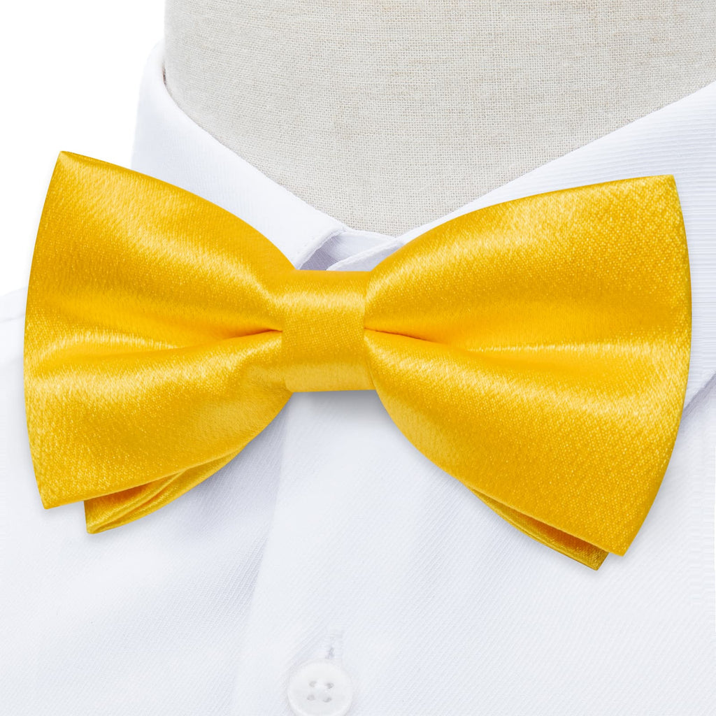 GentCrest Yellow Solid Bowtie Set - Image 3