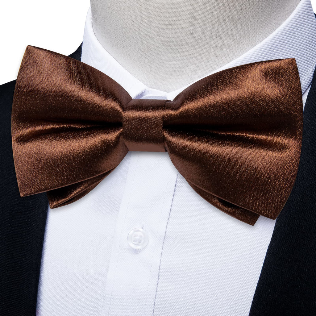 GentCrest Brown Solid Bowtie Set - Image 1