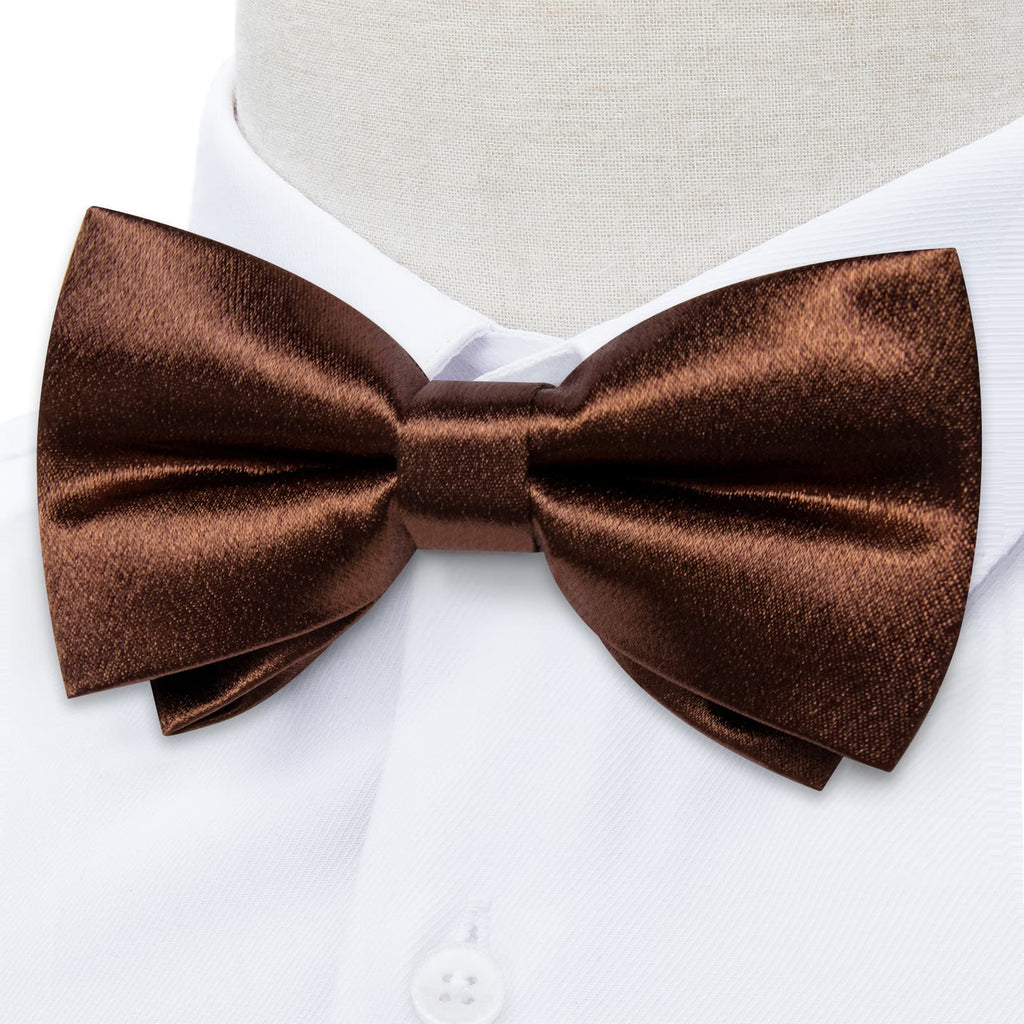GentCrest Brown Solid Bowtie Set - Image 3