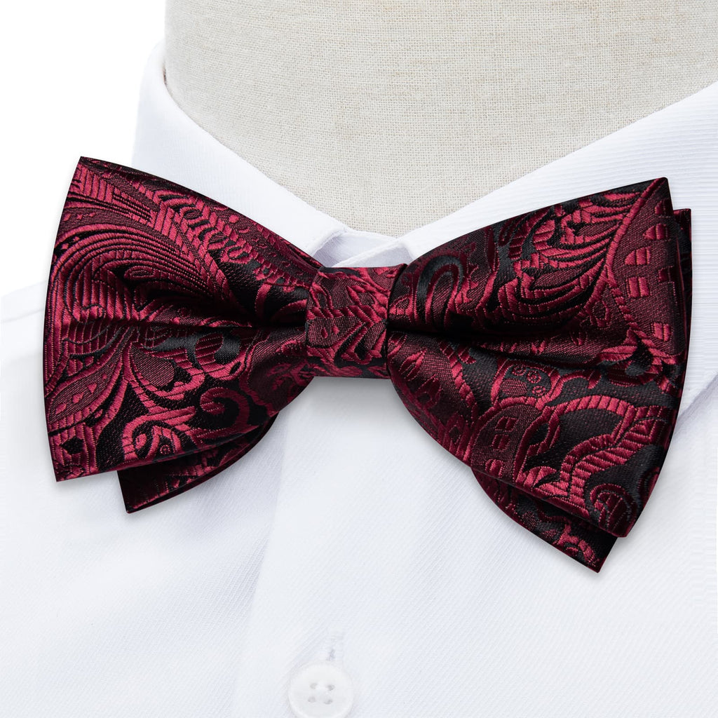 GentCrest Burgundy Paisley Bowtie Set - Image 2