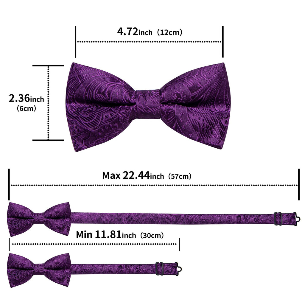 GentCrest Purple Paisley Bowtie Set - Image 6