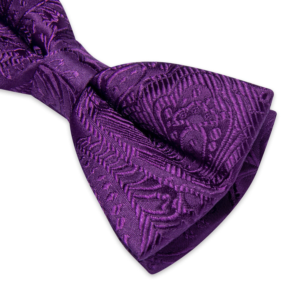 GentCrest Purple Paisley Bowtie Set - Image 2