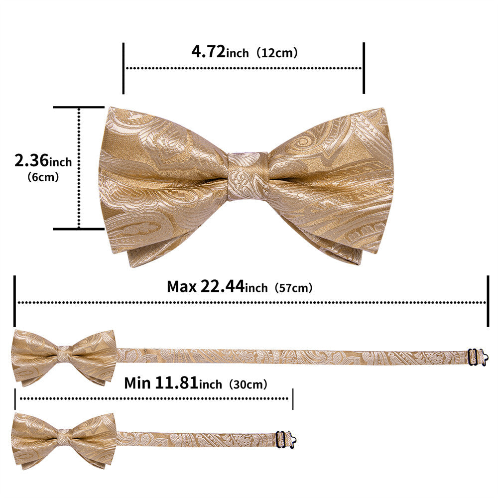 GentCrest Champagne Paisley Bowtie Set - Image 6