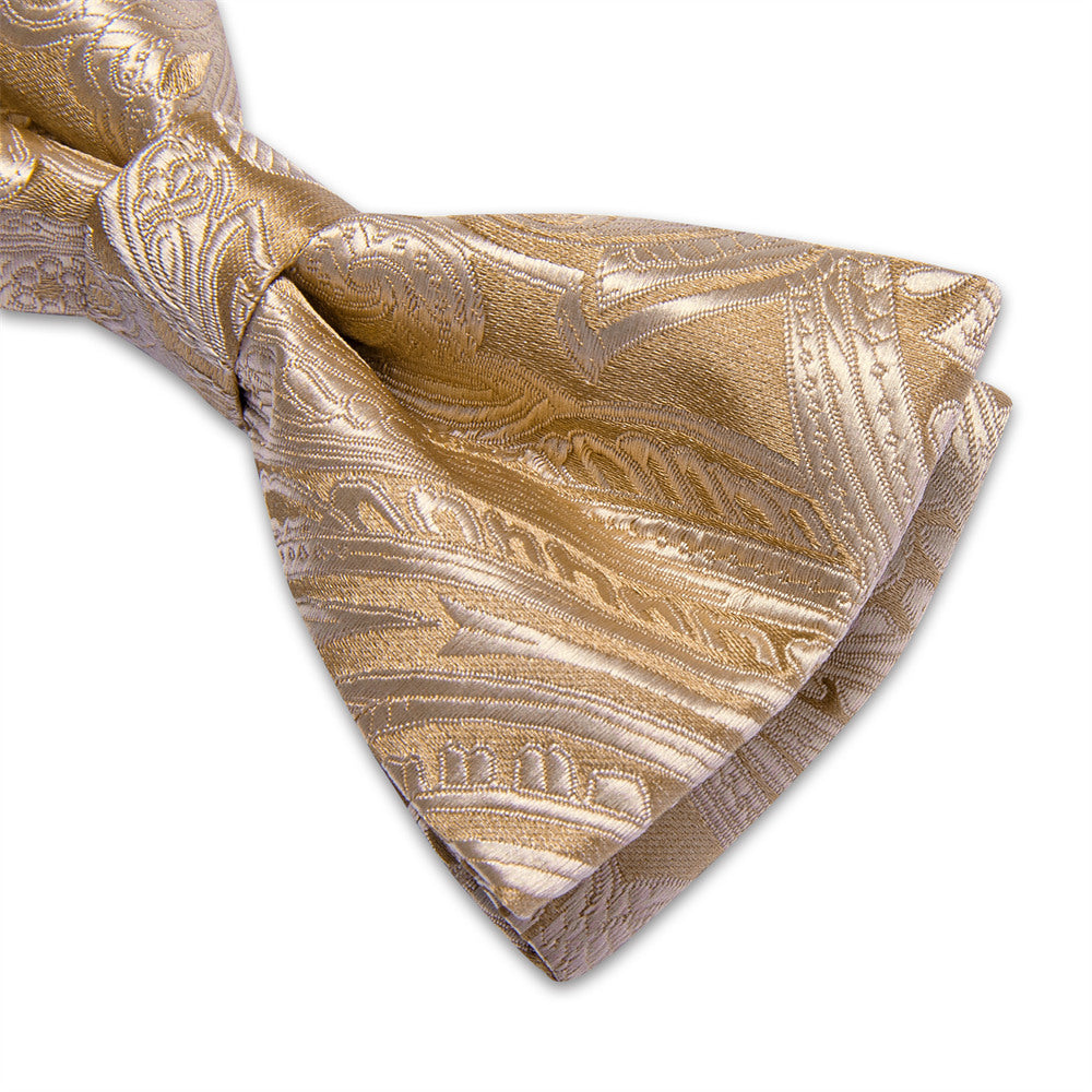 GentCrest Champagne Paisley Bowtie Set - Image 5