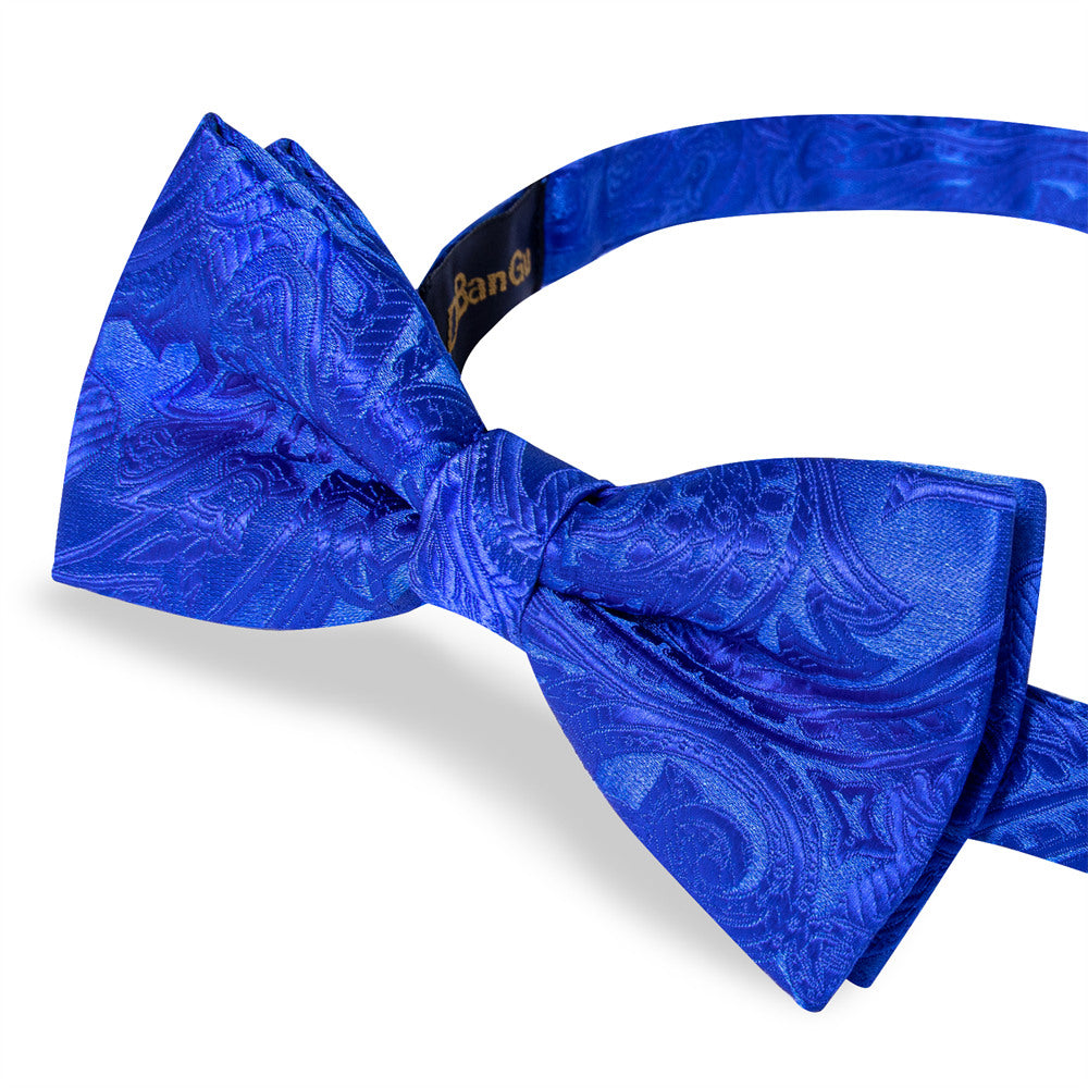 GentCrest Blue Paisley Bowtie Set - Image 4