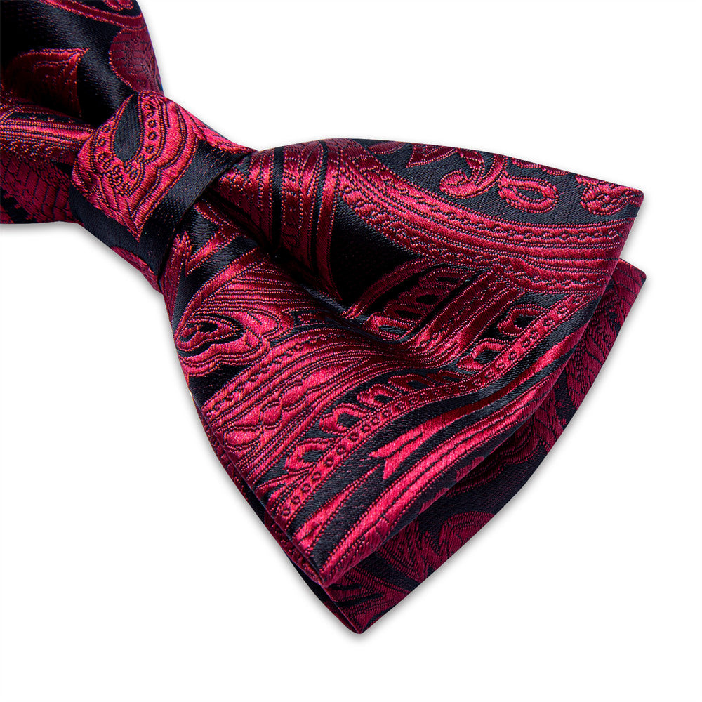 GentCrest Burgundy Paisley Bowtie Set - Image 4