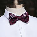 GentCrest Burgundy Plaid Bowtie Set - Image 1